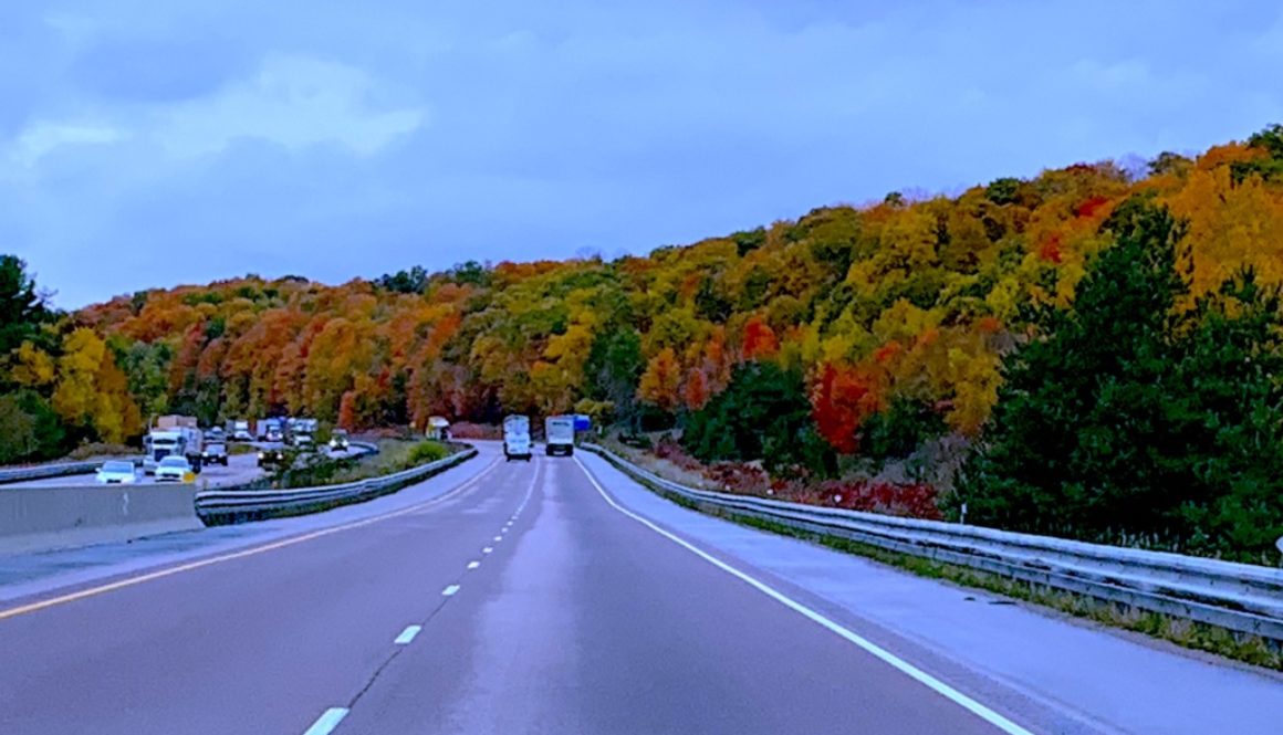 highway with fall trees in full colour